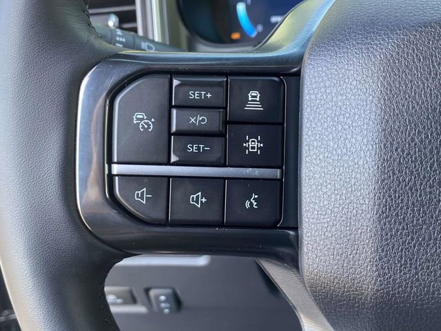 Certified 2025 Ford F250 Platinum image 25