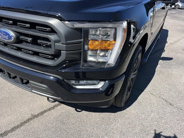 Certified 2023 Ford F150 XLT w/ Equipment Group 302A High image 9