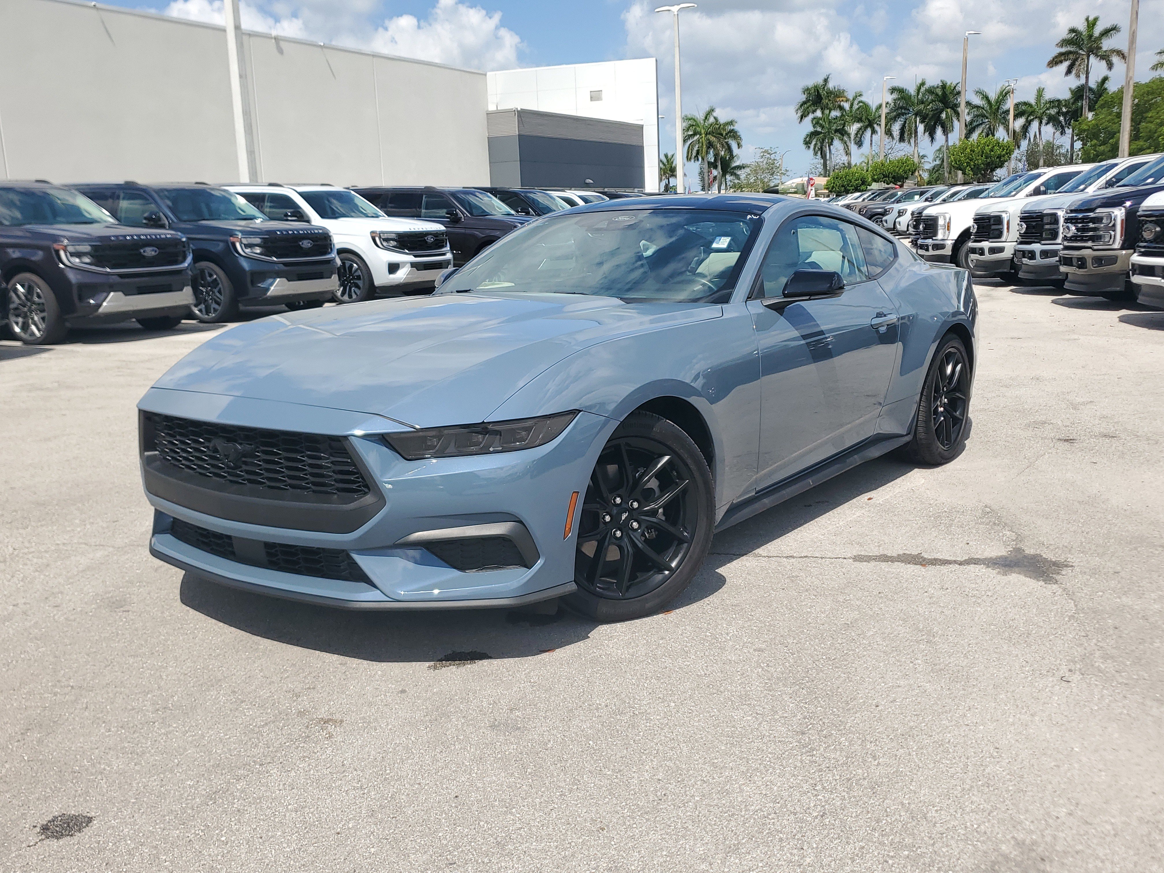 Certified 2025 Ford Mustang Premium w/ Mustang Nite Pony Package