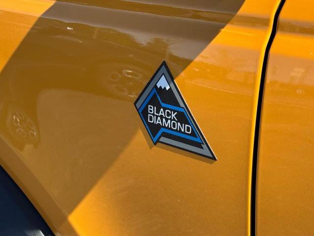 Certified 2021 Ford Bronco Black Diamond AWD/4WD image 7