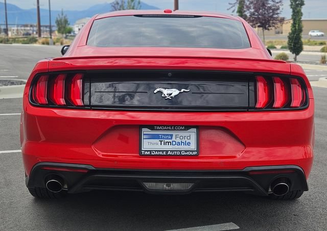 Certified 2019 Ford Mustang Premium RWD image 4