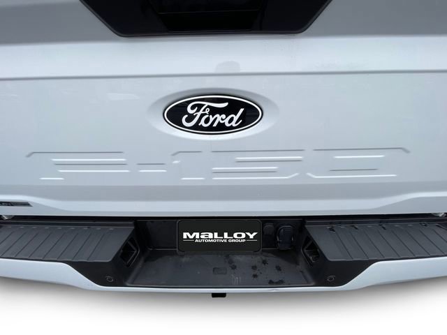 Certified 2024 Ford F150 STX w/ STX Black Appearance Package image 19