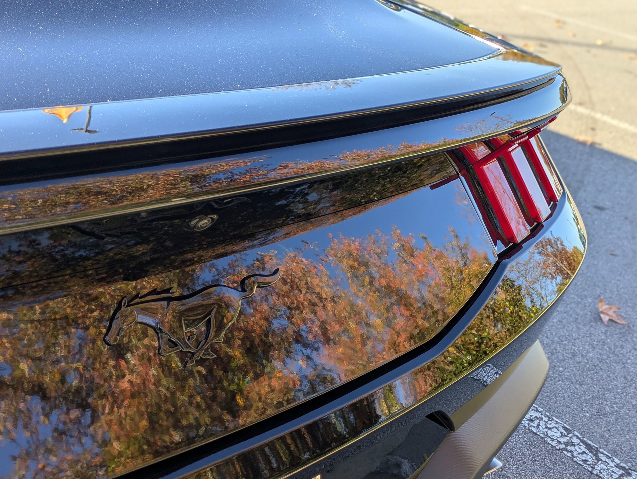 Certified 2025 Ford Mustang Coupe w/ Mustang Nite Pony Package image 30