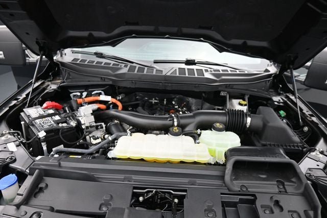 Certified 2025 Ford F150 XLT w/ Equipment Group 301A Standard AWD/4WD image 15