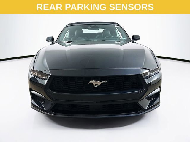 Certified 2024 Ford Mustang Premium image 10