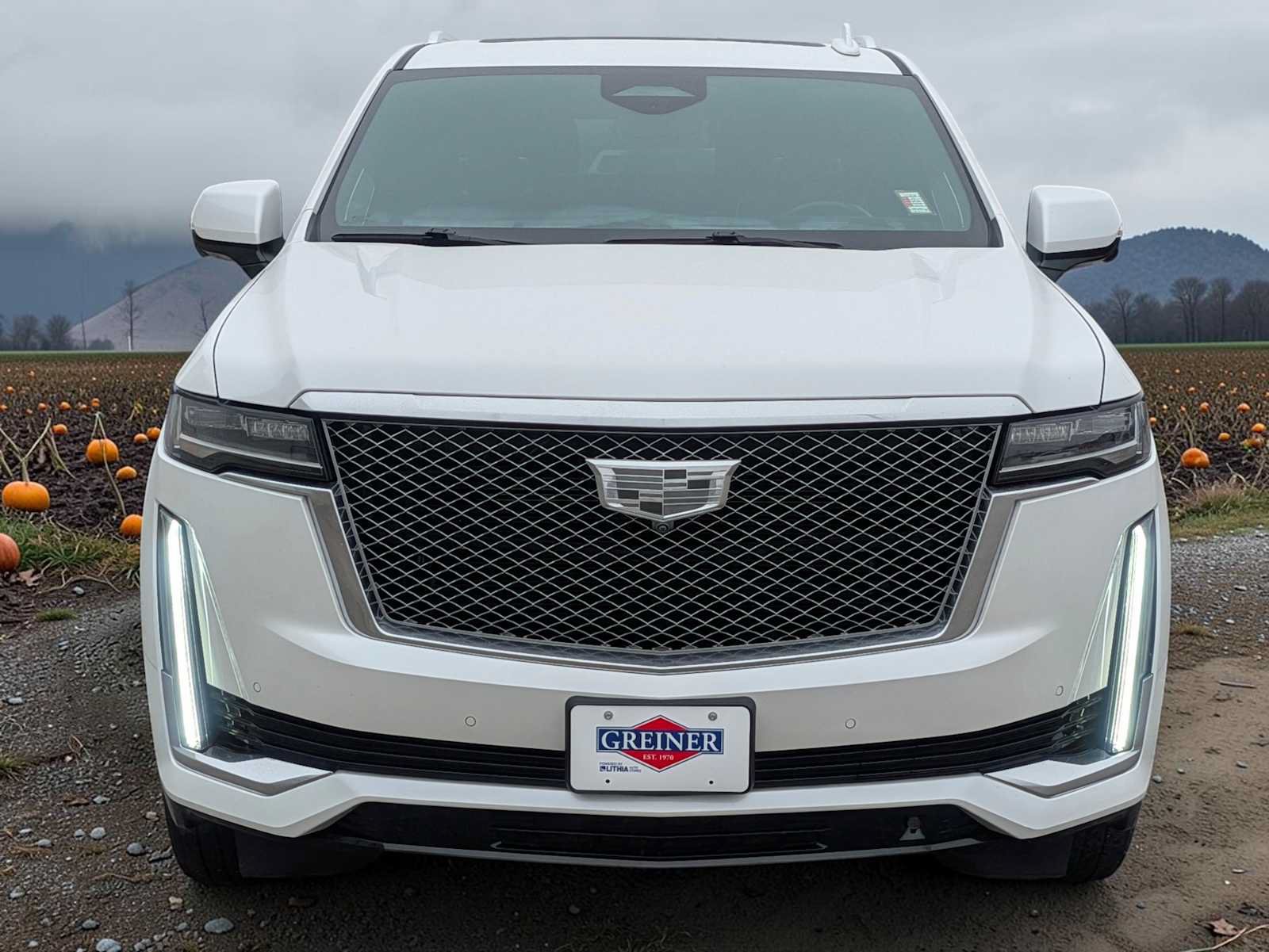 Used 2023 Cadillac Escalade Premium Luxury Platinum w/ LPO, Radiant Package AWD/4WD image 9