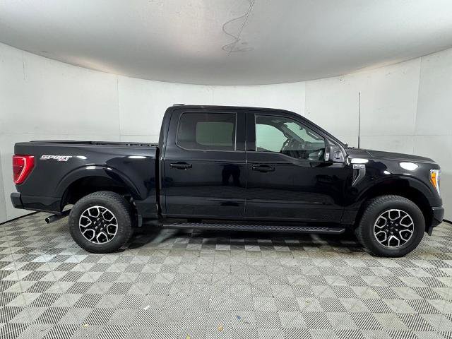 Certified 2023 Ford F150 XLT w/ Equipment Group 302A High image 2