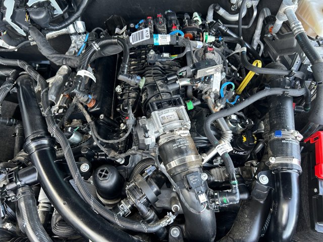 Certified 2024 Ford Bronco Wildtrak image 22