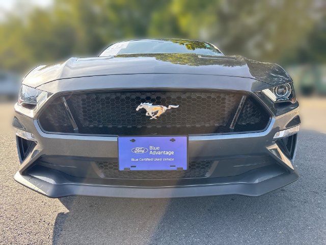 Certified 2019 Ford Mustang GT Premium w/ GT Performance Package RWD image 3
