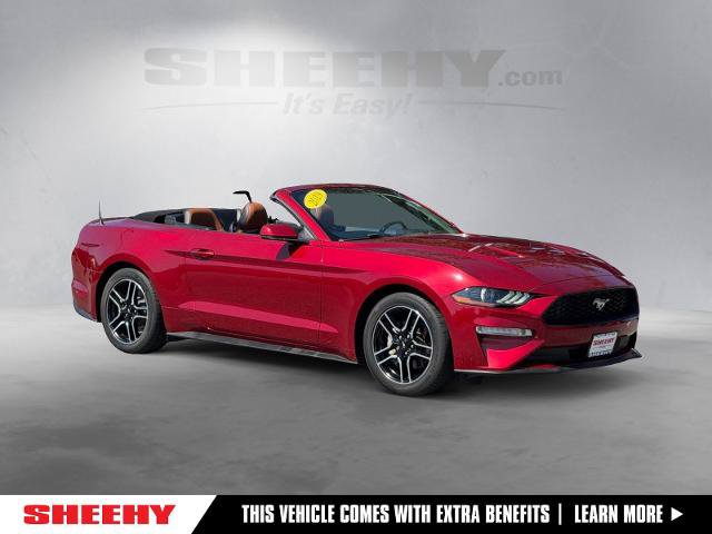 Certified 2019 Ford Mustang Premium RWD image 1