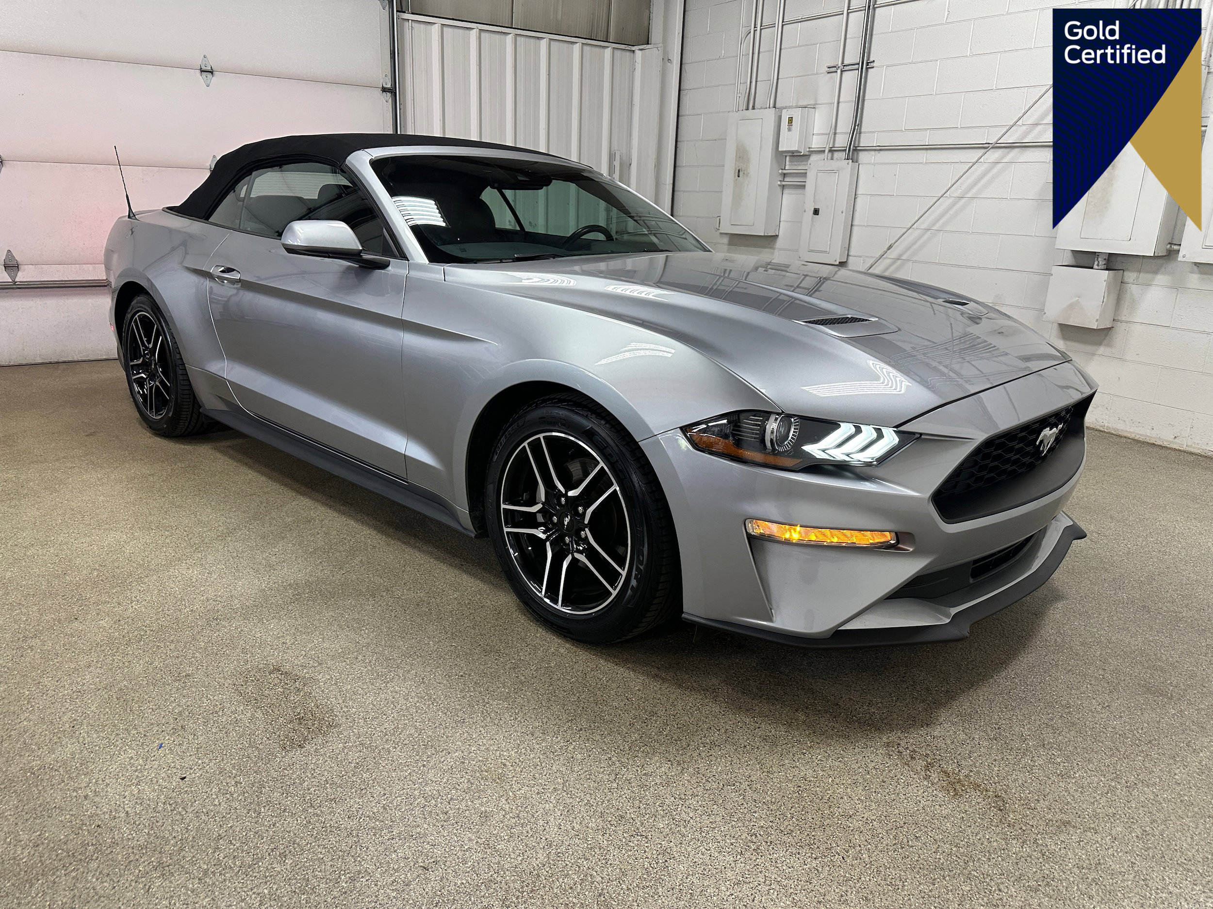 Certified 2023 Ford Mustang Premium image 1