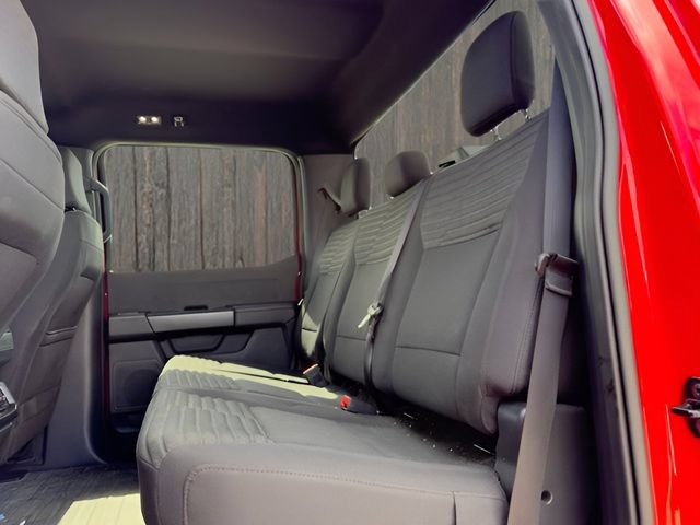 Certified 2023 Ford F150 XL w/ STX Appearance Package RWD image 19