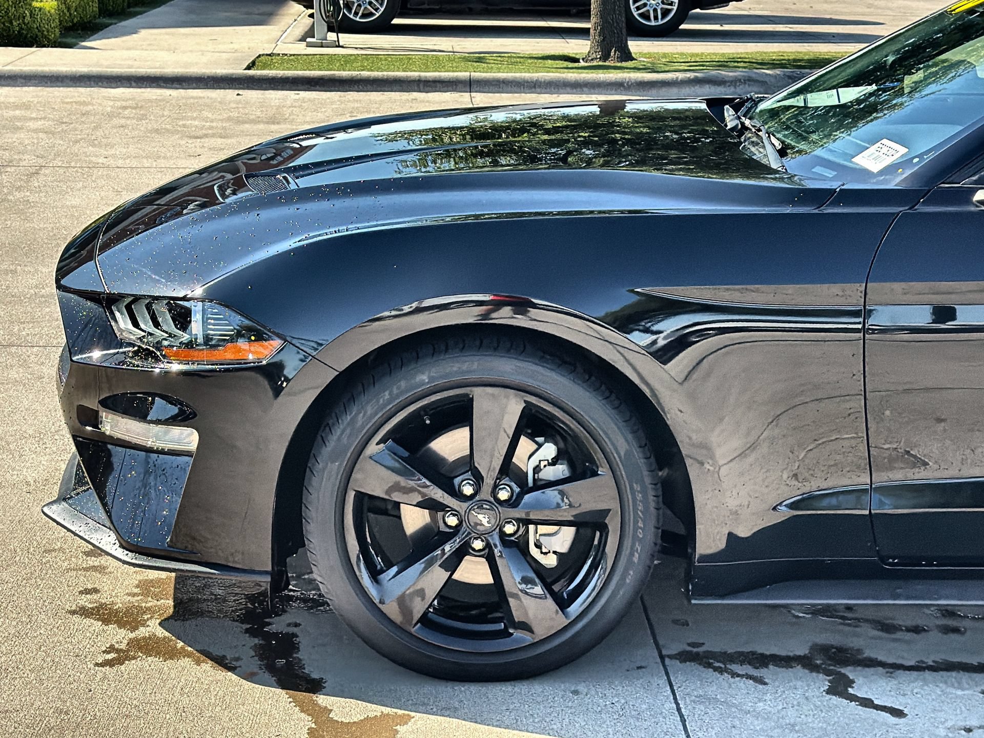 Certified 2023 Ford Mustang Coupe w/ Equipment Group 101A RWD image 10