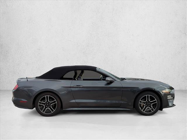 Certified 2019 Ford Mustang Premium image 4
