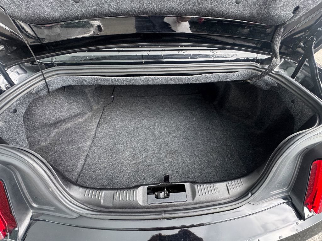 Certified 2021 Ford Mustang Premium image 12