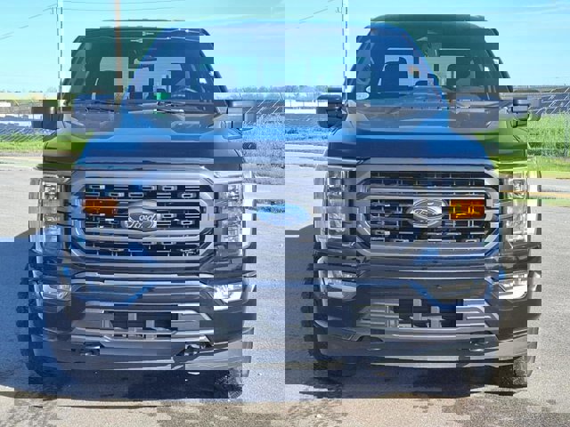 Certified 2023 Ford F150 XLT w/ Equipment Group 302A High image 6