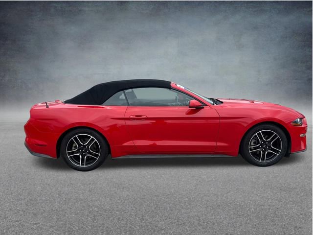 Certified 2019 Ford Mustang Convertible RWD image 12