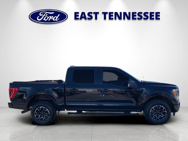 Certified 2022 Ford F150 XLT w/ Equipment Group 302A High image 6
