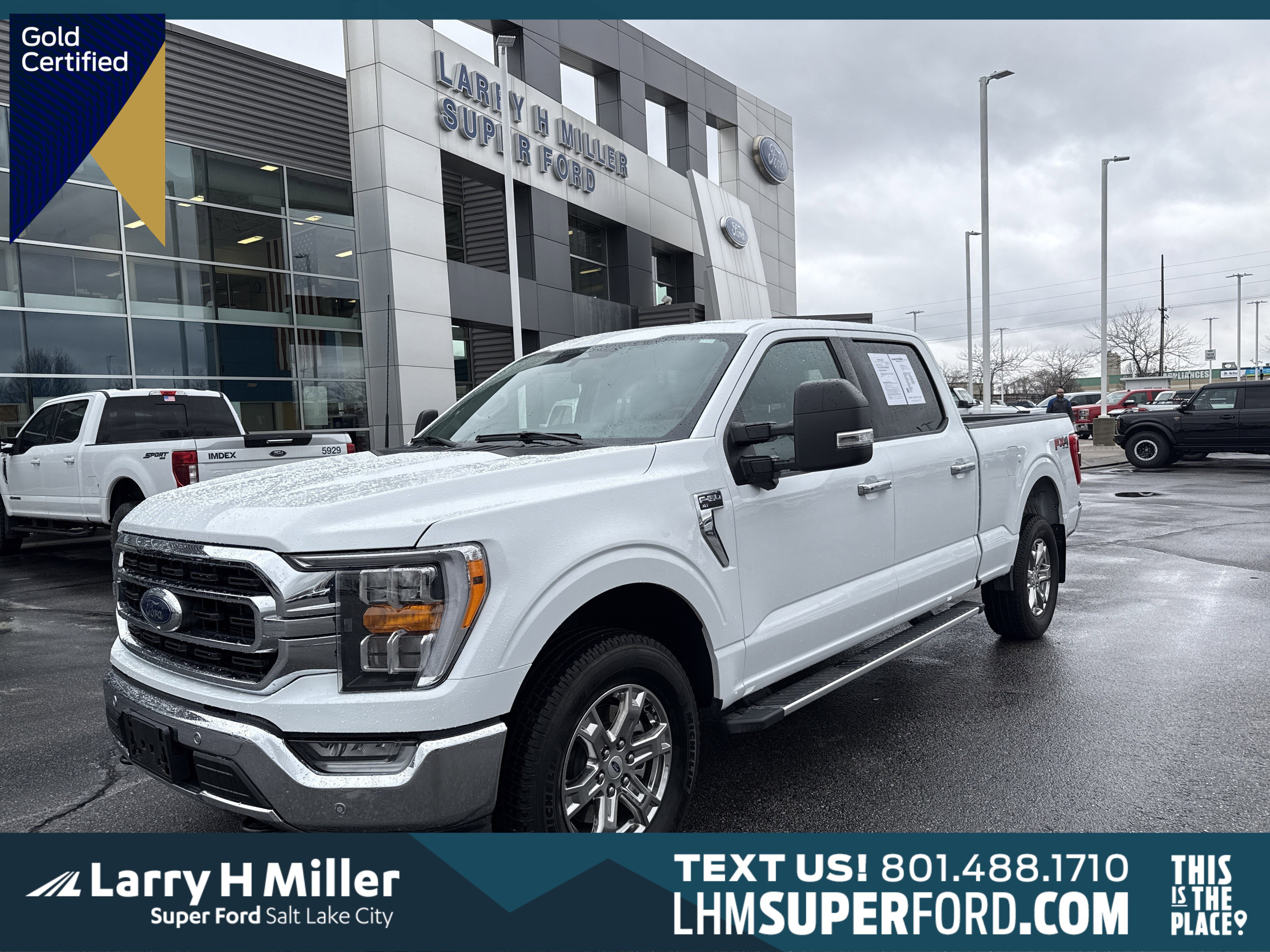 Certified 2023 Ford F150 XLT w/ Equipment Group 302A High image 1