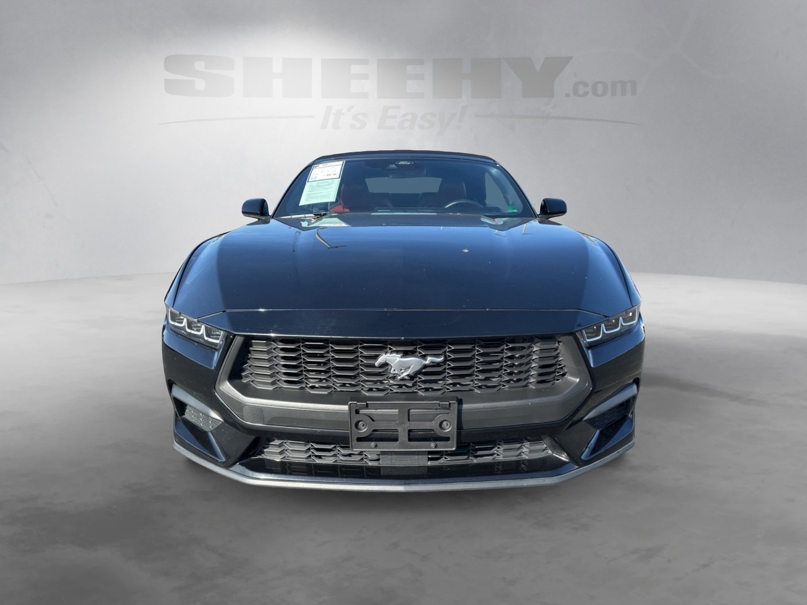 Certified 2024 Ford Mustang Premium image 10