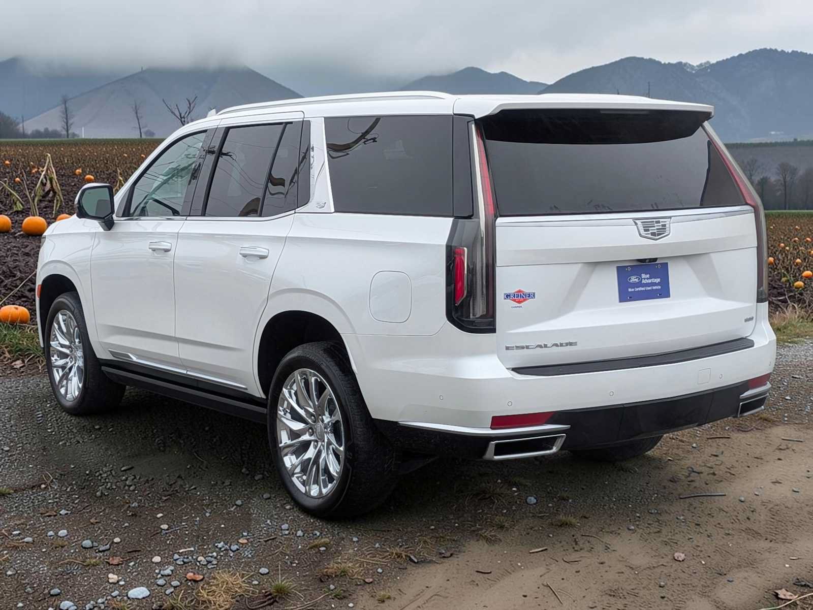 Used 2023 Cadillac Escalade Premium Luxury Platinum w/ LPO, Radiant Package AWD/4WD image 4