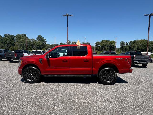Certified 2023 Ford F150 XLT w/ Equipment Group 302A High AWD/4WD image 6