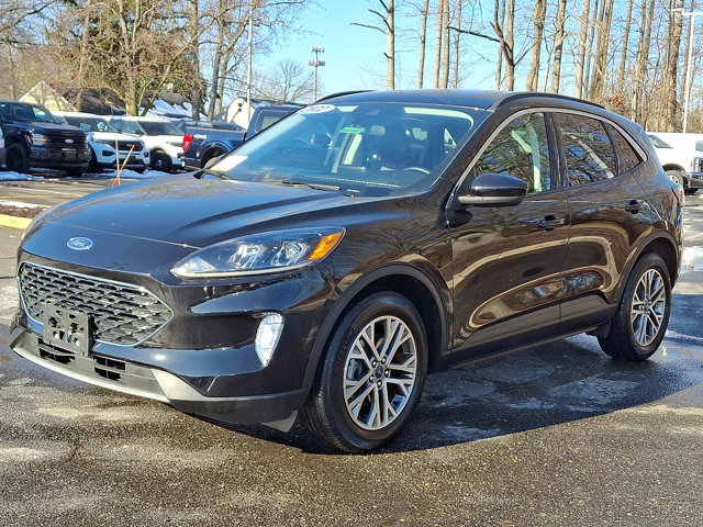 Certified 2022 Ford Escape SEL image 4