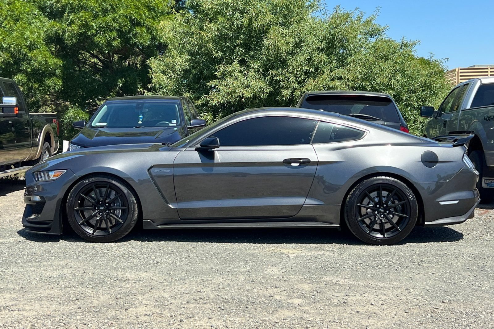 Certified 2017 Ford Mustang Shelby GT350 w/ Electronics Package RWD image 7
