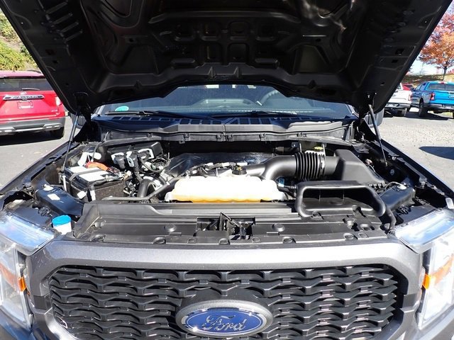 Certified 2022 Ford F150 XL w/ STX Appearance Package image 15