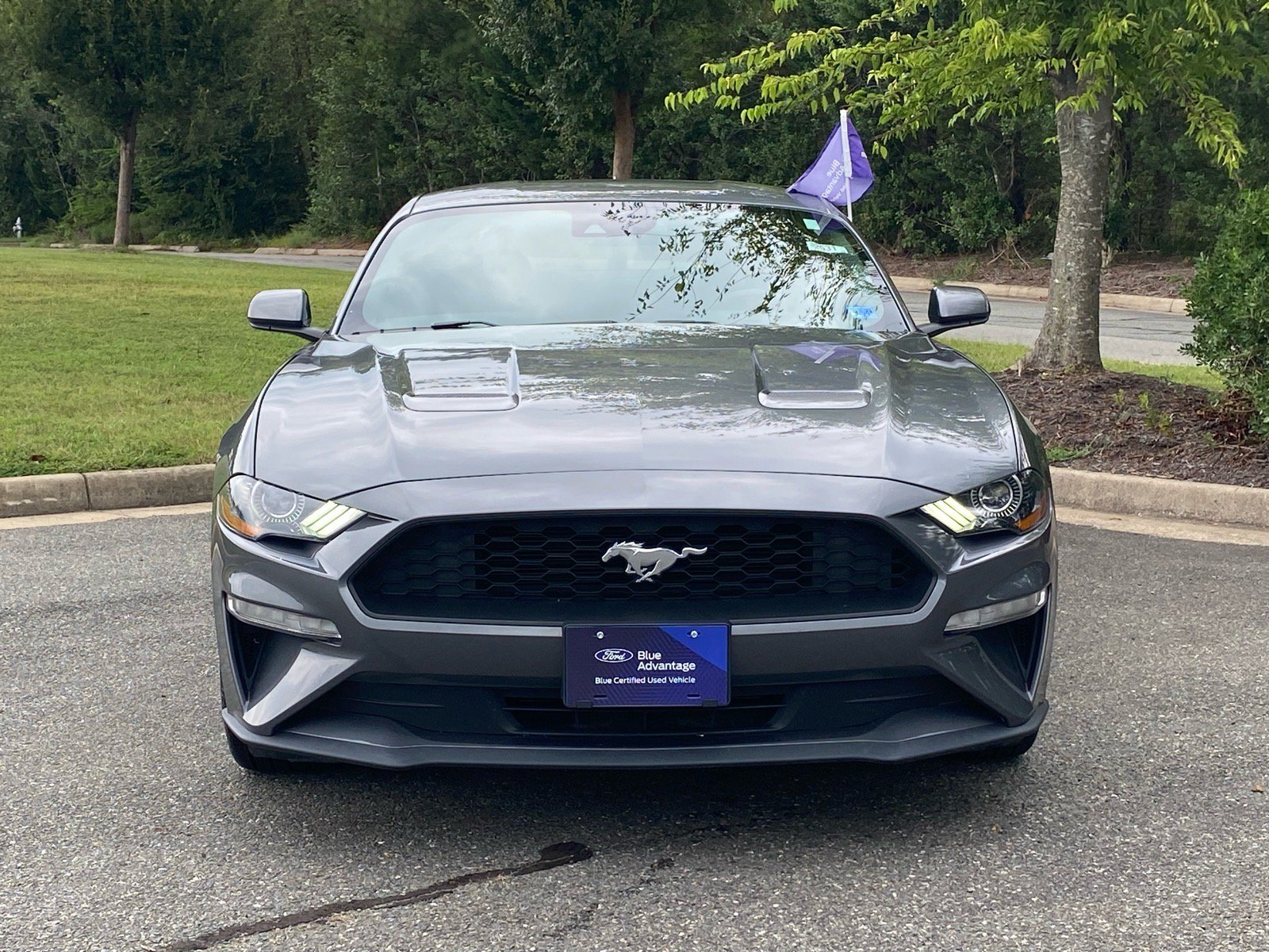 Certified 2022 Ford Mustang Coupe RWD image 6