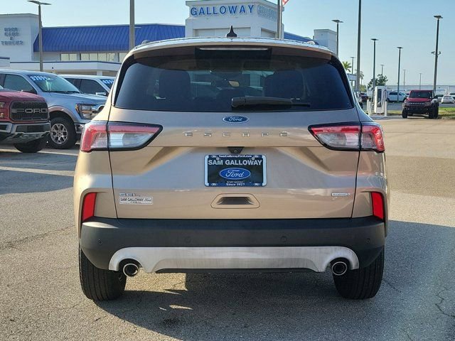 Certified 2020 Ford Escape SEL image 5