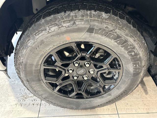 Certified 2024 Ford F150 XLT w/ XLT Black Appearance Package image 34