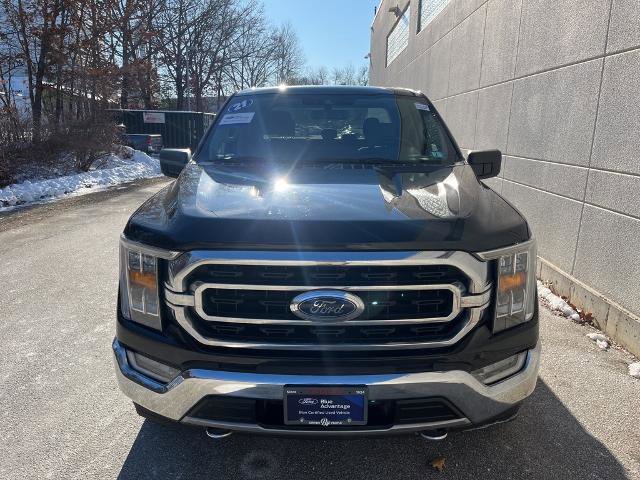 Certified 2021 Ford F150 XLT w/ Equipment Group 302A High image 3