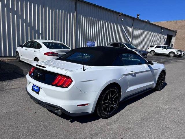 Certified 2023 Ford Mustang Premium image 5