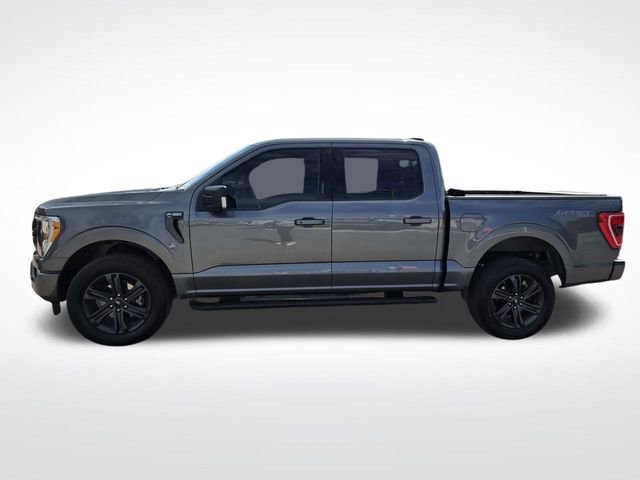Certified 2023 Ford F150 XLT w/ Equipment Group 302A High image 2
