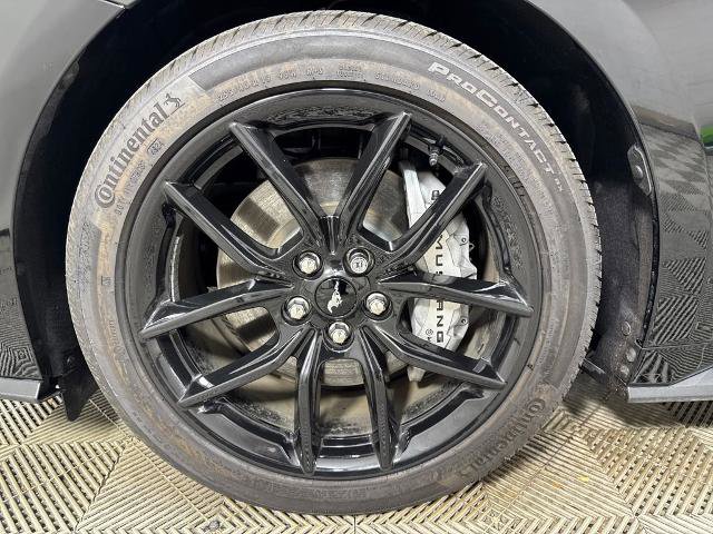 Certified 2025 Ford Mustang GT Premium image 13