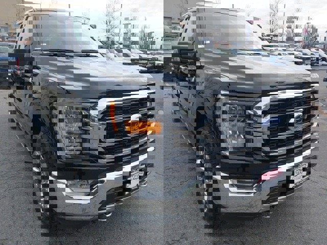 Certified 2021 Ford F150 XLT w/ Equipment Group 302A High image 8