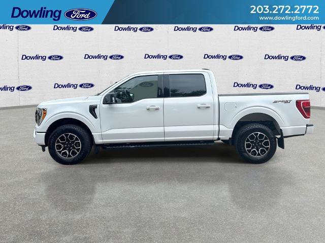 Certified 2023 Ford F150 XLT w/ Equipment Group 302A High AWD/4WD image 5
