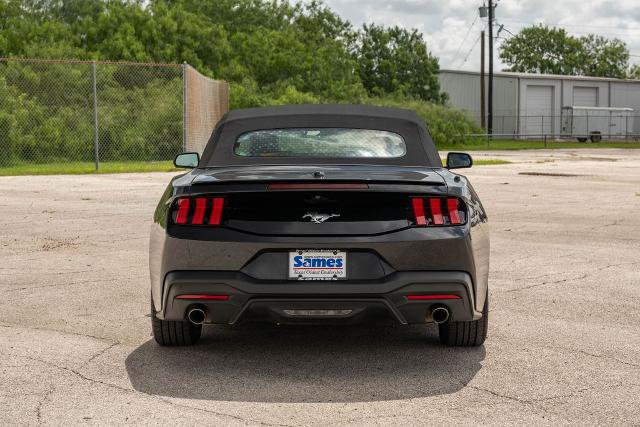 Certified 2025 Ford Mustang Premium RWD image 8