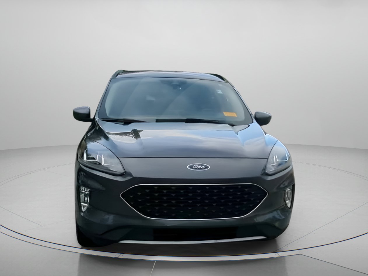 Certified 2020 Ford Escape SEL FWD image 7