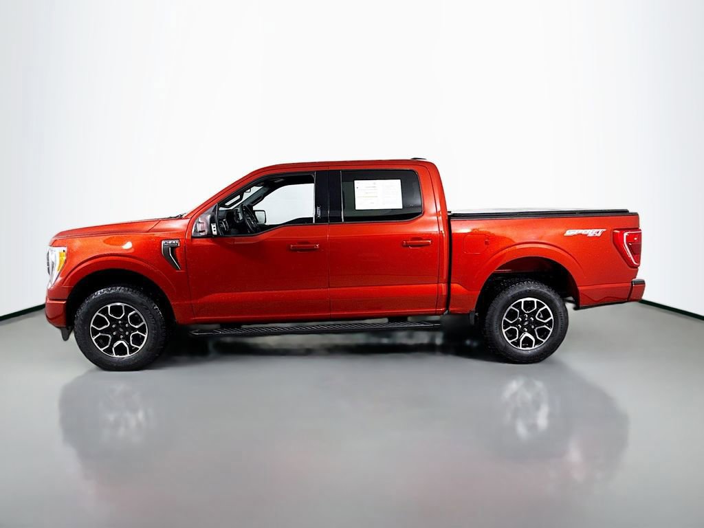 Certified 2023 Ford F150 XLT w/ Equipment Group 302A High image 2