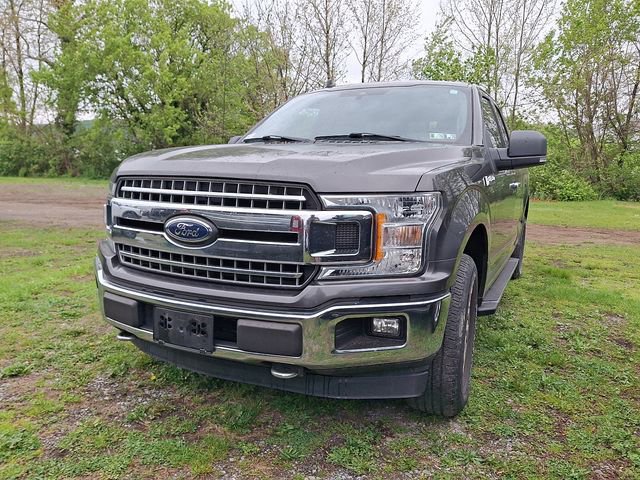 Certified 2019 Ford F150 XLT w/ Equipment Group 302A Luxury AWD/4WD image 2