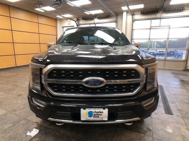 Certified 2023 Ford F150 Platinum image 8