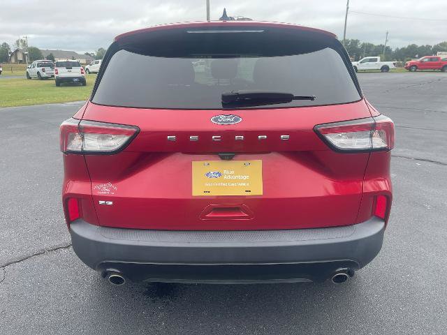 Certified 2022 Ford Escape SE w/ SE Sport Appearance Package FWD image 7
