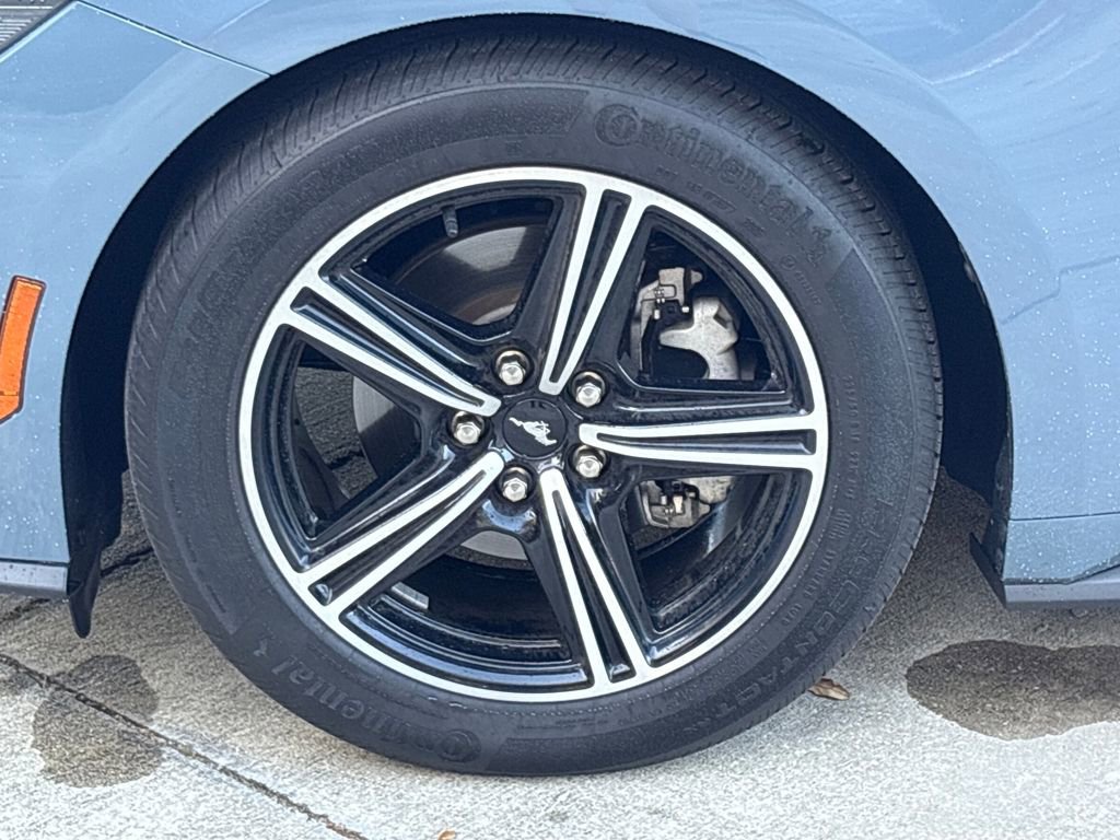 Certified 2024 Ford Mustang Premium image 13