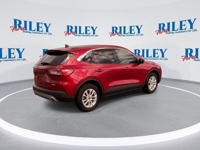 Certified 2022 Ford Escape SE w/ Cold Weather Package AWD/4WD image 9