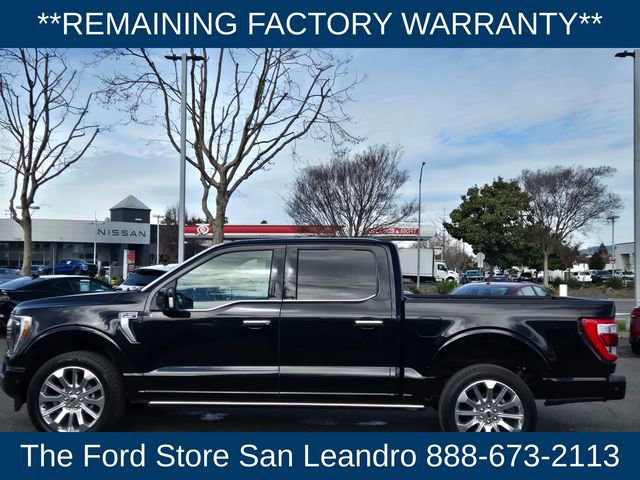 Certified 2023 Ford F150 Limited image 7