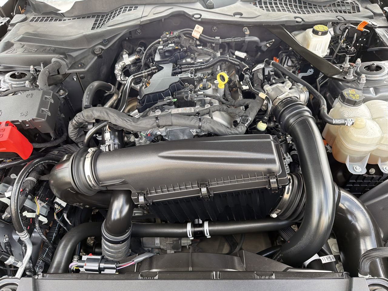 Certified 2024 Ford Mustang Premium RWD image 10