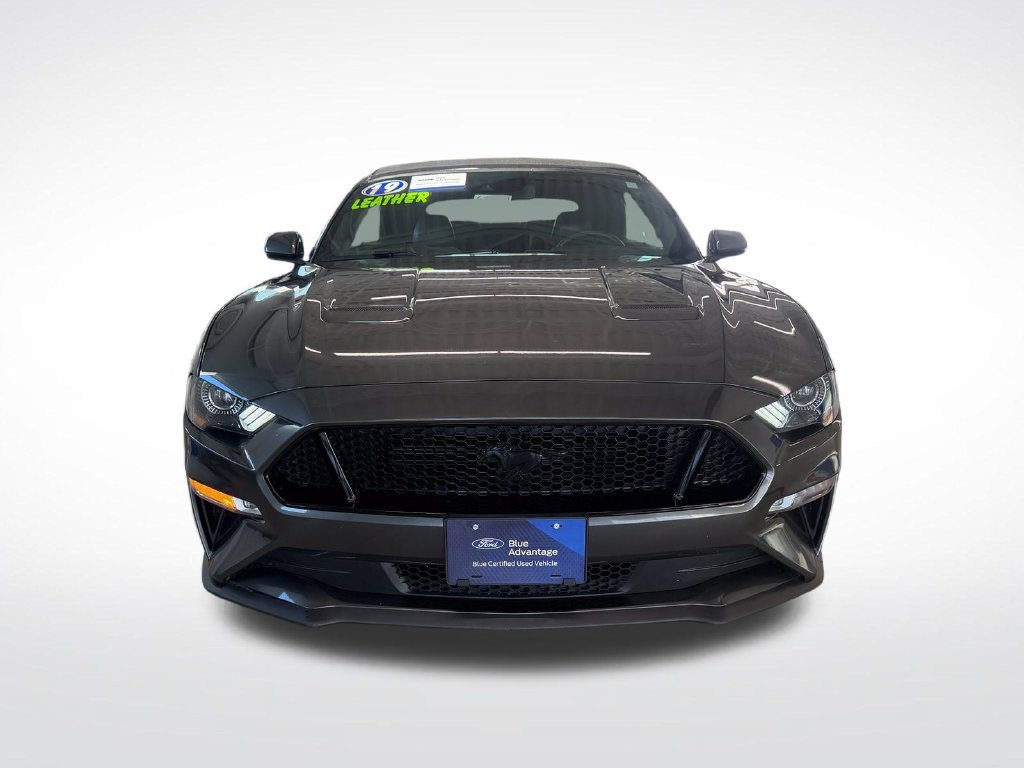 Certified 2019 Ford Mustang GT Premium w/ Equipment Group 401A RWD image 3