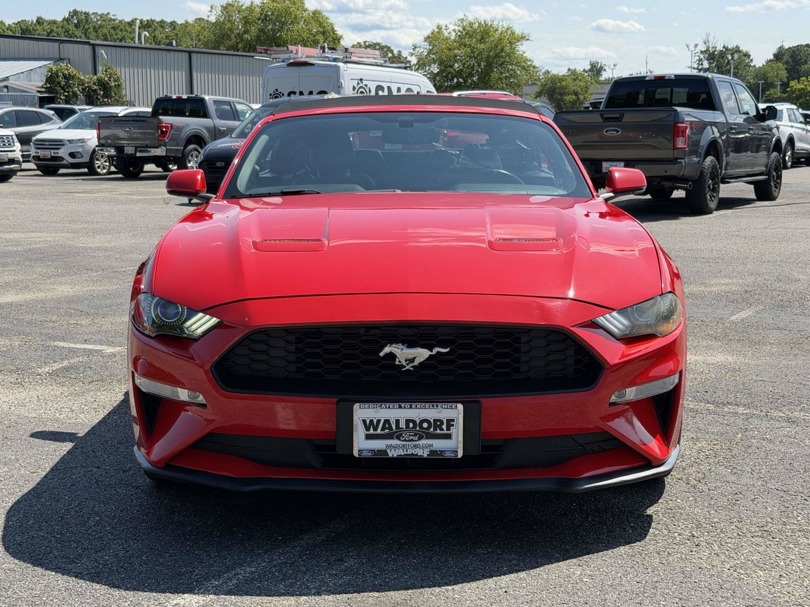 Certified 2020 Ford Mustang Premium RWD image 6